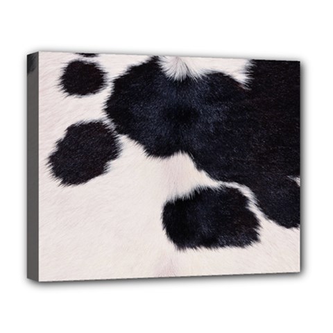 Spotted Cow Hide Deluxe Canvas 20  X 16   by trendistuff