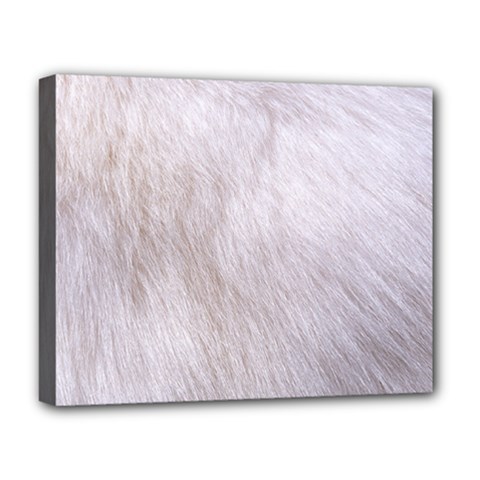 Rabbit Fur Deluxe Canvas 20  X 16   by trendistuff