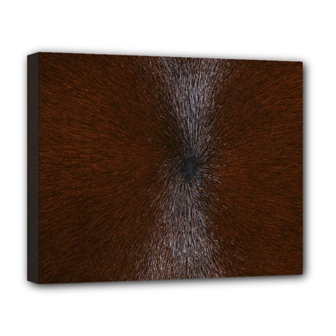 Horse Fur Deluxe Canvas 20  X 16   by trendistuff