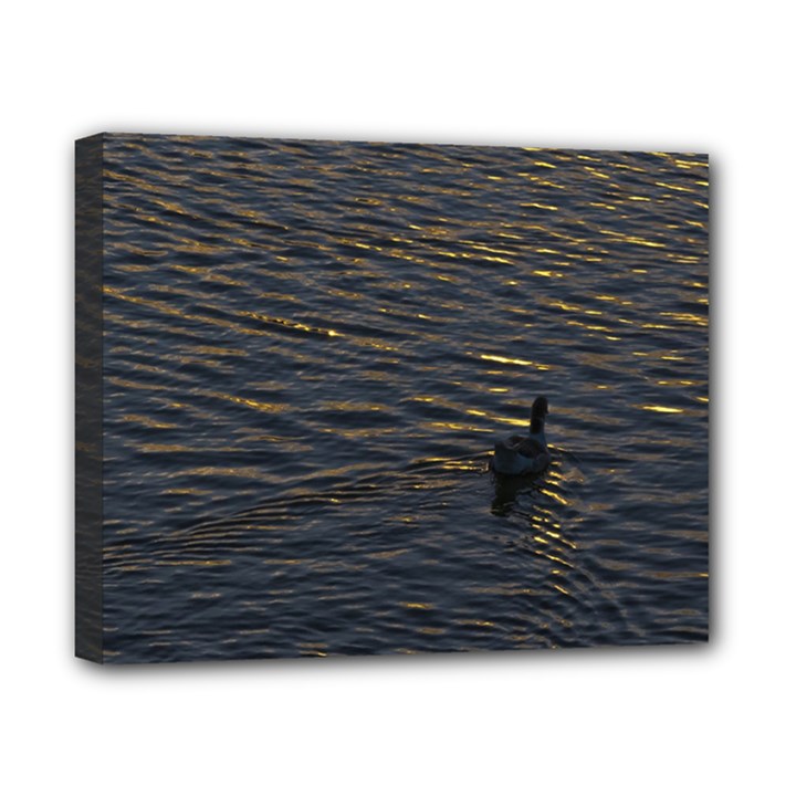 Lonely Duck Swimming At Lake At Sunset Time Canvas 10  x 8 