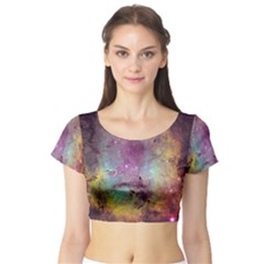 IC 1396 Short Sleeve Crop Top