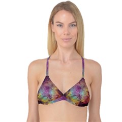 IC 1396 Reversible Tri Bikini Tops