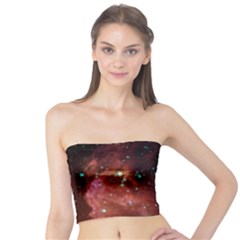 Barnard 30 Women s Tube Tops by trendistuff