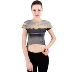 Intercoastal Seagulls 3 Crew Neck Crop Top by Jamboo