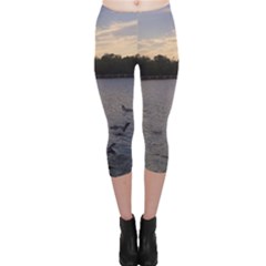 Intercoastal Seagulls 3 Capri Leggings