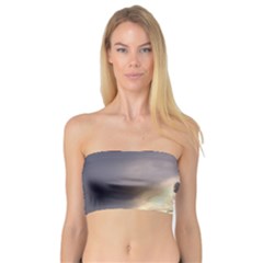 Seagull 1 Women s Bandeau Tops by Jamboo