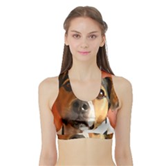 Jack Russell Terrier Women s Sports Bra With Border