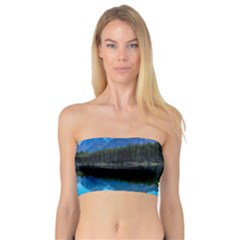 Herbert Lake Women s Bandeau Tops by trendistuff