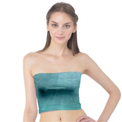 Crater Lake National Park Women s Tube Tops