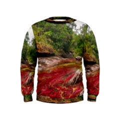 Cano Cristales 1 Boys  Sweatshirts