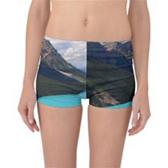 Banff National Park 3 Reversible Boyleg Bikini Bottoms by trendistuff