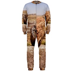 Petrified Desert Onepiece Jumpsuit (men)  by trendistuff