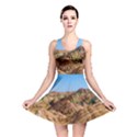 ZHANGYE DANXIA Reversible Skater Dresses View1