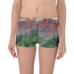 Upper Emerald Trail Boyleg Bikini Bottoms by trendistuff