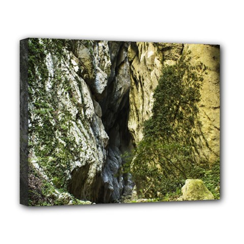 Mountain Path Deluxe Canvas 20  X 16   by trendistuff