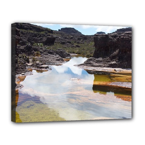 MOUNT RORAIMA 1 Canvas 14  x 11 