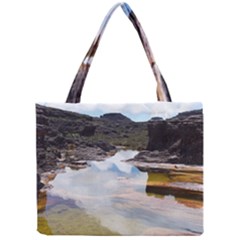 MOUNT RORAIMA 1 Tiny Tote Bags