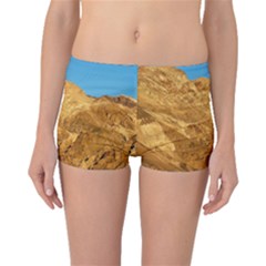 Death Valley Boyleg Bikini Bottoms by trendistuff