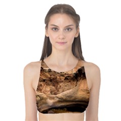 Capital Reefs Tank Bikini Top by trendistuff