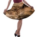 CAPITAL REEFS A-line Skater Skirt View1