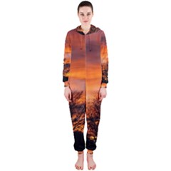 Orange Sunset Hooded Jumpsuit (ladies)  by trendistuff
