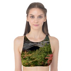 Natural Arch Tank Bikini Top by trendistuff
