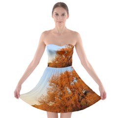 Beautiful Autumn Day Strapless Bra Top Dress by trendistuff