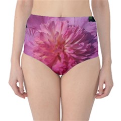 Paeonia Coral High-waist Bikini Bottoms by trendistuff