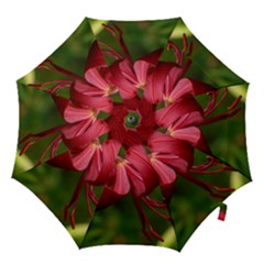 Lilium Red Velvet Hook Handle Umbrellas (large) by trendistuff