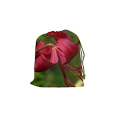 Lilium Red Velvet Drawstring Pouches (small)  by trendistuff