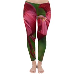 Lilium Red Velvet Winter Leggings  by trendistuff