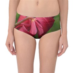 Lilium Red Velvet Mid-waist Bikini Bottoms