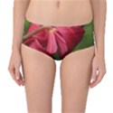 LILIUM RED VELVET Mid-Waist Bikini Bottoms View1