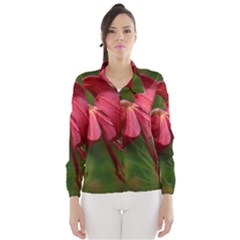 Lilium Red Velvet Wind Breaker (women) by trendistuff