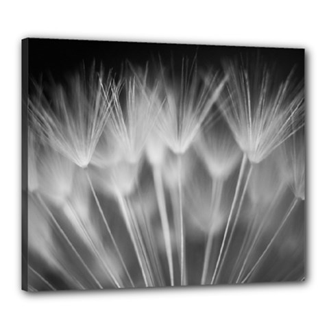 Dandelion Canvas 24  X 20  by trendistuff