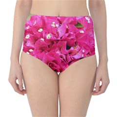 Bougainvillea High-waist Bikini Bottoms by trendistuff