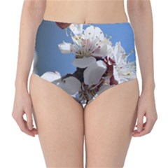 APRICOT BLOSSOMS High-Waist Bikini Bottoms