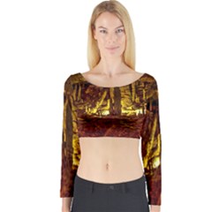 Volcano Cave Long Sleeve Crop Top by trendistuff