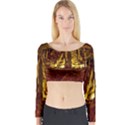 VOLCANO CAVE Long Sleeve Crop Top View1