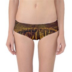 Volcano Cave Classic Bikini Bottoms by trendistuff