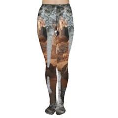 Jenolan Imperial Cave Women s Tights by trendistuff