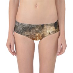 Carlsbad Caverns Classic Bikini Bottoms