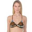 ANGKOR WAT Reversible Tri Bikini Tops View1