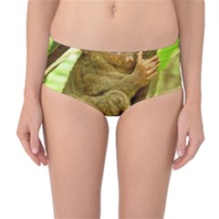 Tarsier Mid-waist Bikini Bottoms by trendistuff