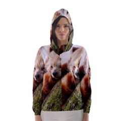 Red Panda Hooded Wind Breaker (women) by trendistuff