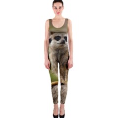 Meerkat Onepiece Catsuits by trendistuff