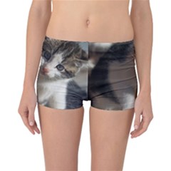 Questioning Kitty Reversible Boyleg Bikini Bottoms