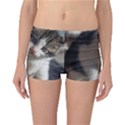 QUESTIONING KITTY Reversible Boyleg Bikini Bottoms View3