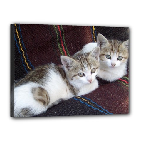 Kitty Twins Canvas 16  X 12 