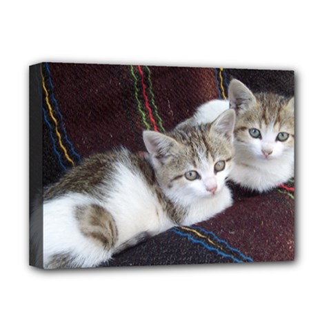 Kitty Twins Deluxe Canvas 16  X 12   by trendistuff